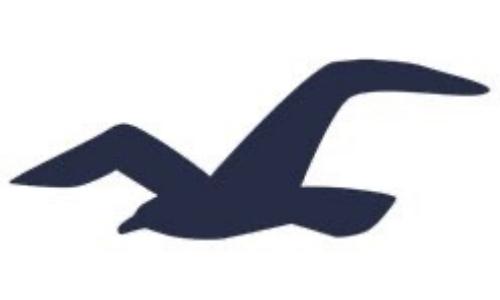 Hollister-Logo.jpg